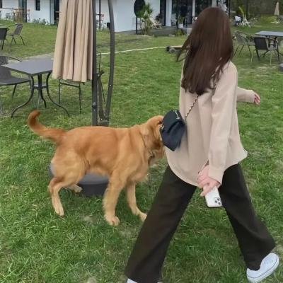 舒克与桃花